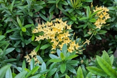 PXL_20250826_070449886